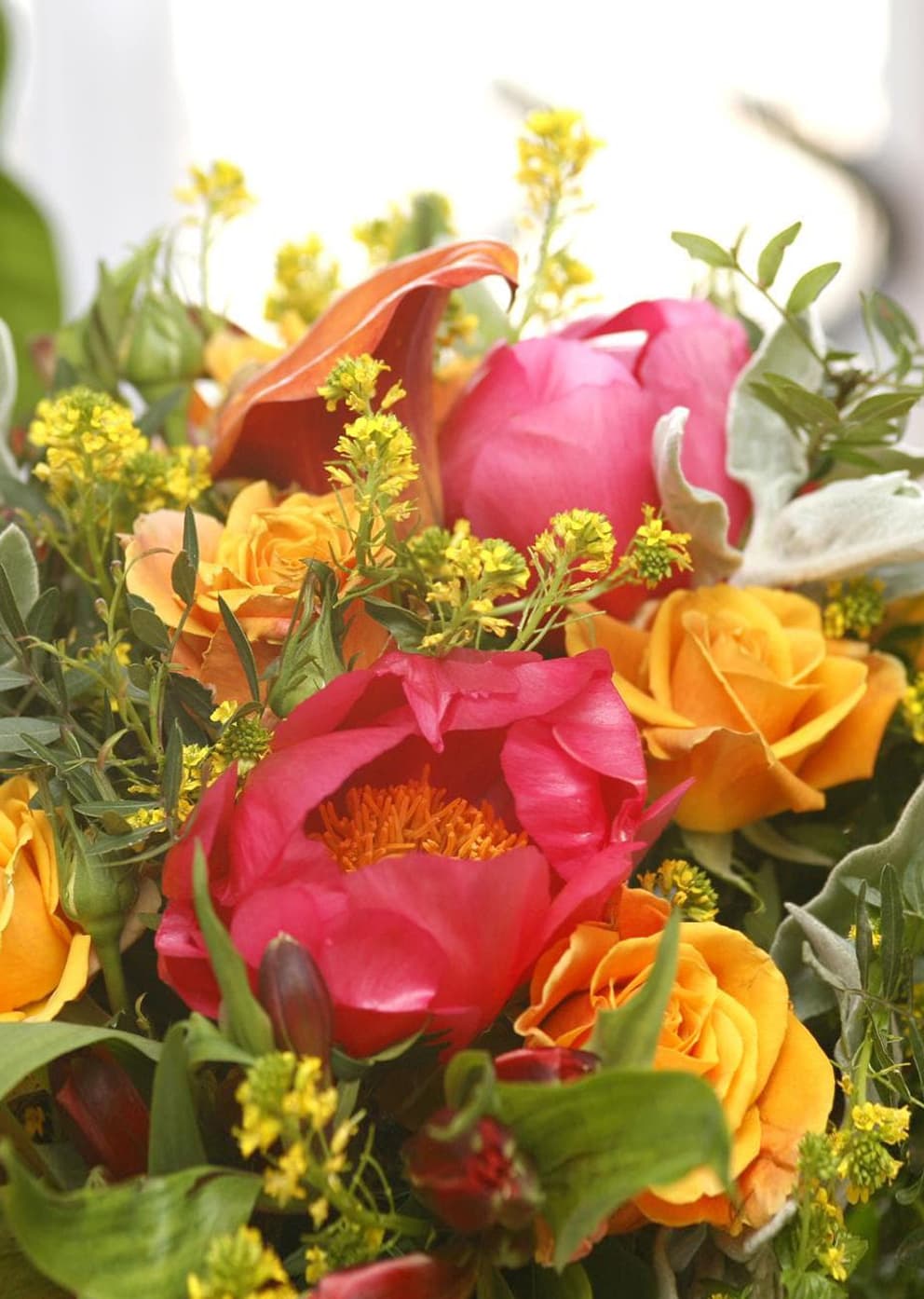 Contactar con Musa Floristas en Lugo